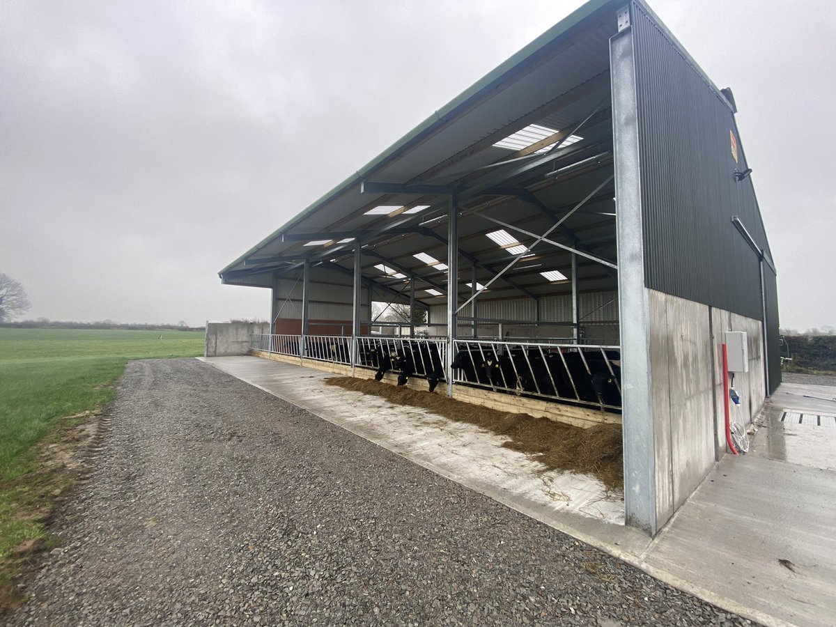 Cattle housed on this farm for the first time since my Grandad was farming in 1976! 

Thank you Noel Beattie and all his team who built the shed and to @carrollagri for the design and TAMS 🙏

#ProudToFarm