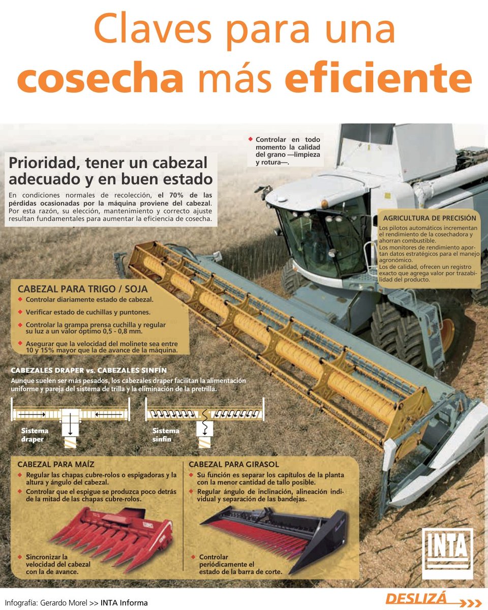 INTAAgroind's tweet photo. Durante la recolección, la pérdida de #granos por parte de la #cosechadora es una problemática recurrente posible de minimizar.

El @intaargentina recomienda estimar mermas #productivas, adoptar buenas prácticas de manejo y #calibrar adecuadamente los equipos.

[ABRIMOS HILO] 👇 https://t.co/jKlguCxRxi