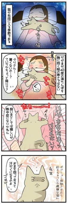 【マンガ】飼い主「暑いから離れて?」猫「いやぁぁぁ!」 のどが渇いても飼い主の布団に入りたい甘えん坊猫がかわいい https://t.co/S1zGUbuNKX @itm_nlabより 