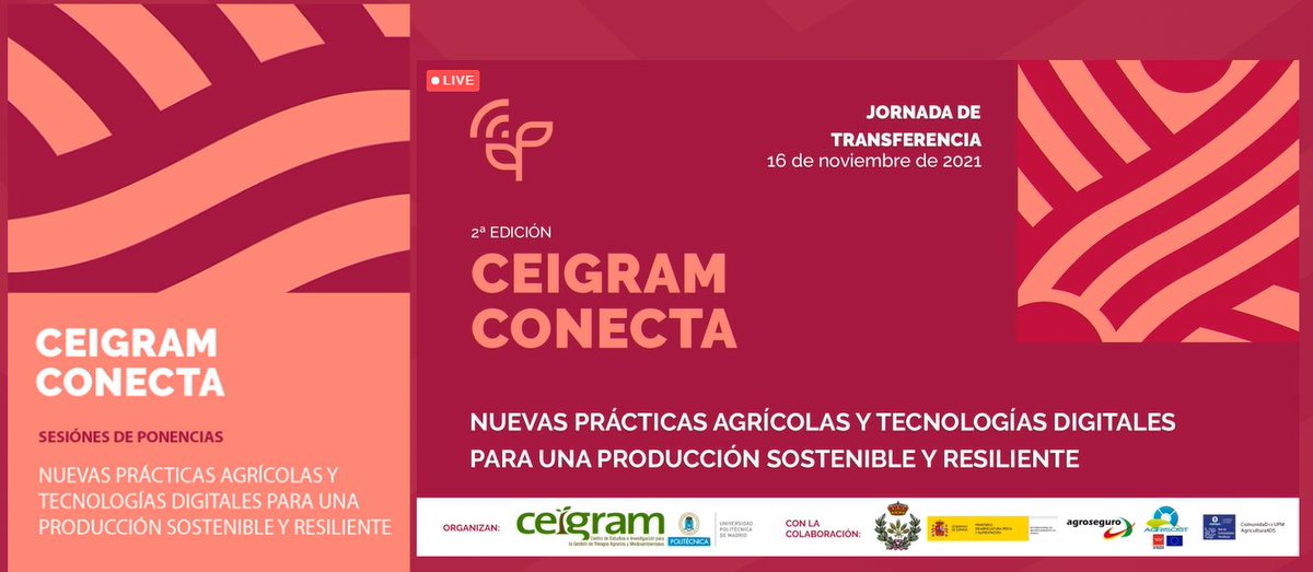 CEIGRAM's tweet photo. ¡Gracias a todos y a todas por acompañarnos en las sesiones de #CEIGRAMCONECTA durante la mañana de hoy! Y a partir de las 15:15 h. os invitamos a participar en las reuniones bilaterales a las que pueden tener acceso a través de la plataforma del evento. ⚡️https://t.co/rAv2bWOmyD https://t.co/MjnGIlDqq1