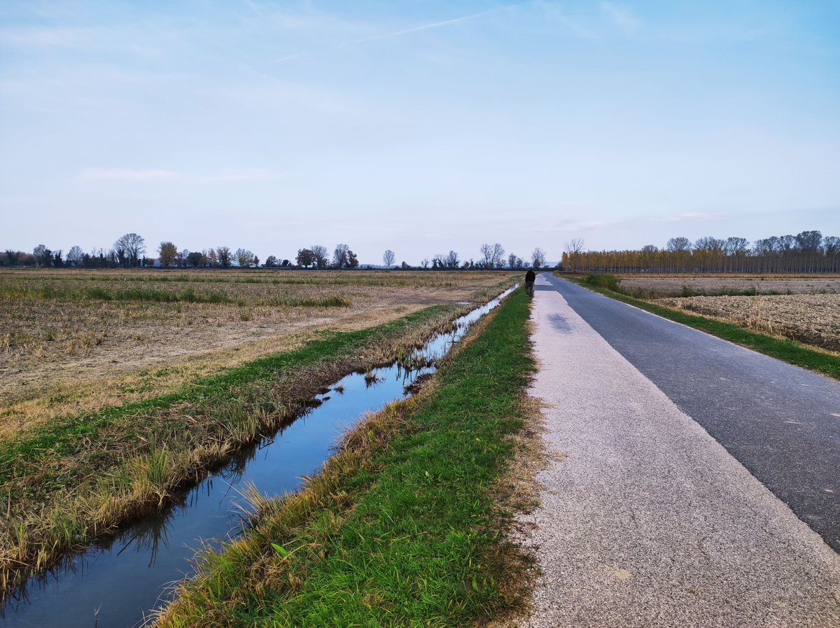 FoceIsonzo's tweet photo. SABATO 20 NOVEMBRE 
SEMINARIO + ESCURSIONE sul tema “Relazioni tra attività agricole, gestione del reticolo idrico secondario e biodiversità”

Info➡️https://t.co/AMPwOMdwcJ https://t.co/1m7NhmG06n