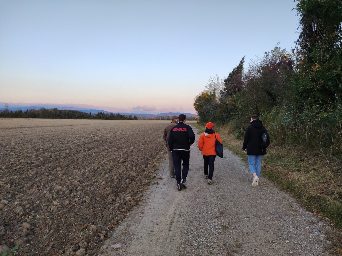 FoceIsonzo's tweet photo. SABATO 20 NOVEMBRE 
SEMINARIO + ESCURSIONE sul tema “Relazioni tra attività agricole, gestione del reticolo idrico secondario e biodiversità”

Info➡️https://t.co/AMPwOMdwcJ https://t.co/1m7NhmG06n