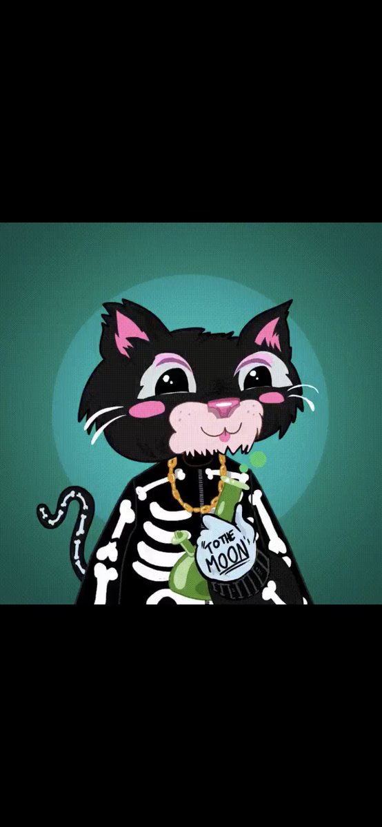 Steve………. tweet media