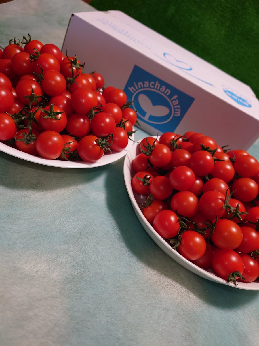 hinachanfarm's tweet photo. 陽菜ちゃん農園のミニトマトは
オンラインストアで販売中です🍅

が⁉️

通販用は私自身が厳選し、美味しいと確信できるトマト(収穫量の約10%程)しか販売しません✨

自社通販サイト(限定商品有り)
https://t.co/wiFnVAat0i

ポケマル
https://t.co/2ONh2aATPD

食べチョク
https://t.co/44NUfAbZoW https://t.co/HUX8GGggRY