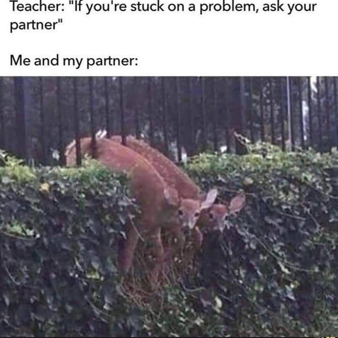 Way too funny! 😂🤣