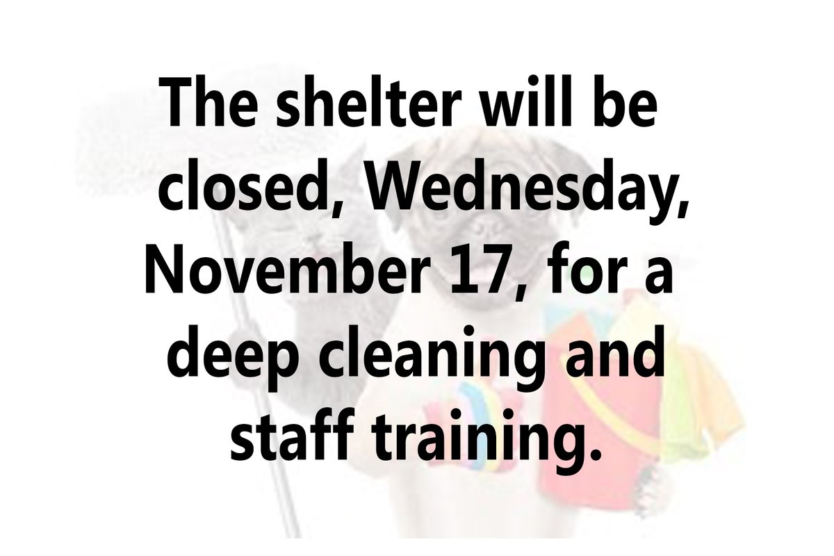 LivCo Animal Shelter (@lcas_howell) on Twitter photo 