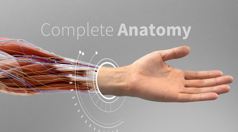 Biblioanahuac's tweet photo. #Descarga la App Complete Anatomy de #Elsevier
#RecursoEnFaseDePrueba para @Anahuac_FCS Cuenta con más de 6.500 estructuras del cuerpo humano en vista tridimensional. Vigente hasta el 20 de noviembre.
Guía de descarga ➡️ https://t.co/xMQTmfrhjK https://t.co/1HNwc2YmcA