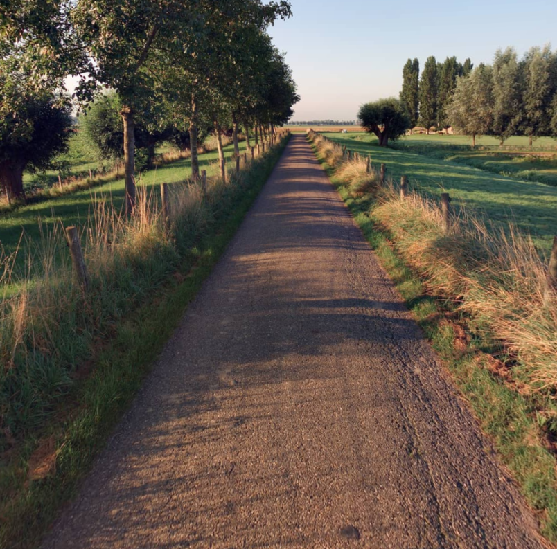 waterschap Hollandse Delta tweet media