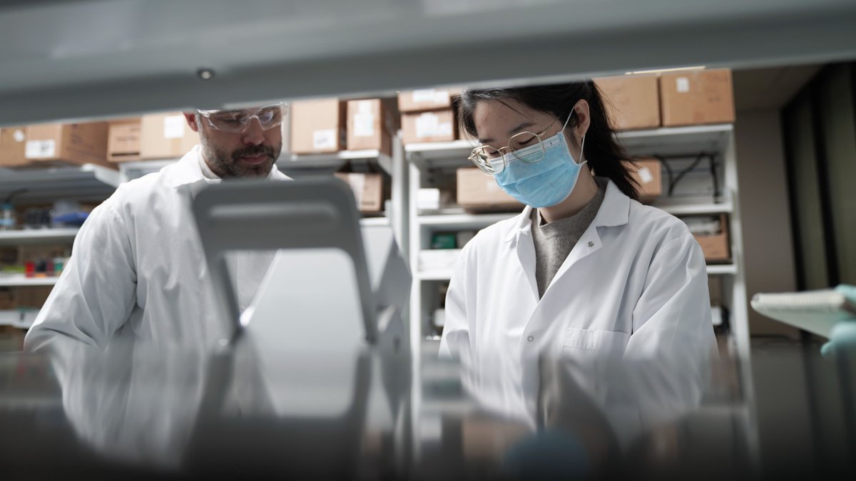 INBiosciences's tweet photo. The #TemplinLab is working to advance the understanding of beta cell loss in #diabetes and, ultimately, improve the health of individuals afflicted with this disease. #DiabetesAwarenessMonth #T1D #T2D @prof_templin https://t.co/J9HrAIZHQ5 https://t.co/44mOmzWOt6
