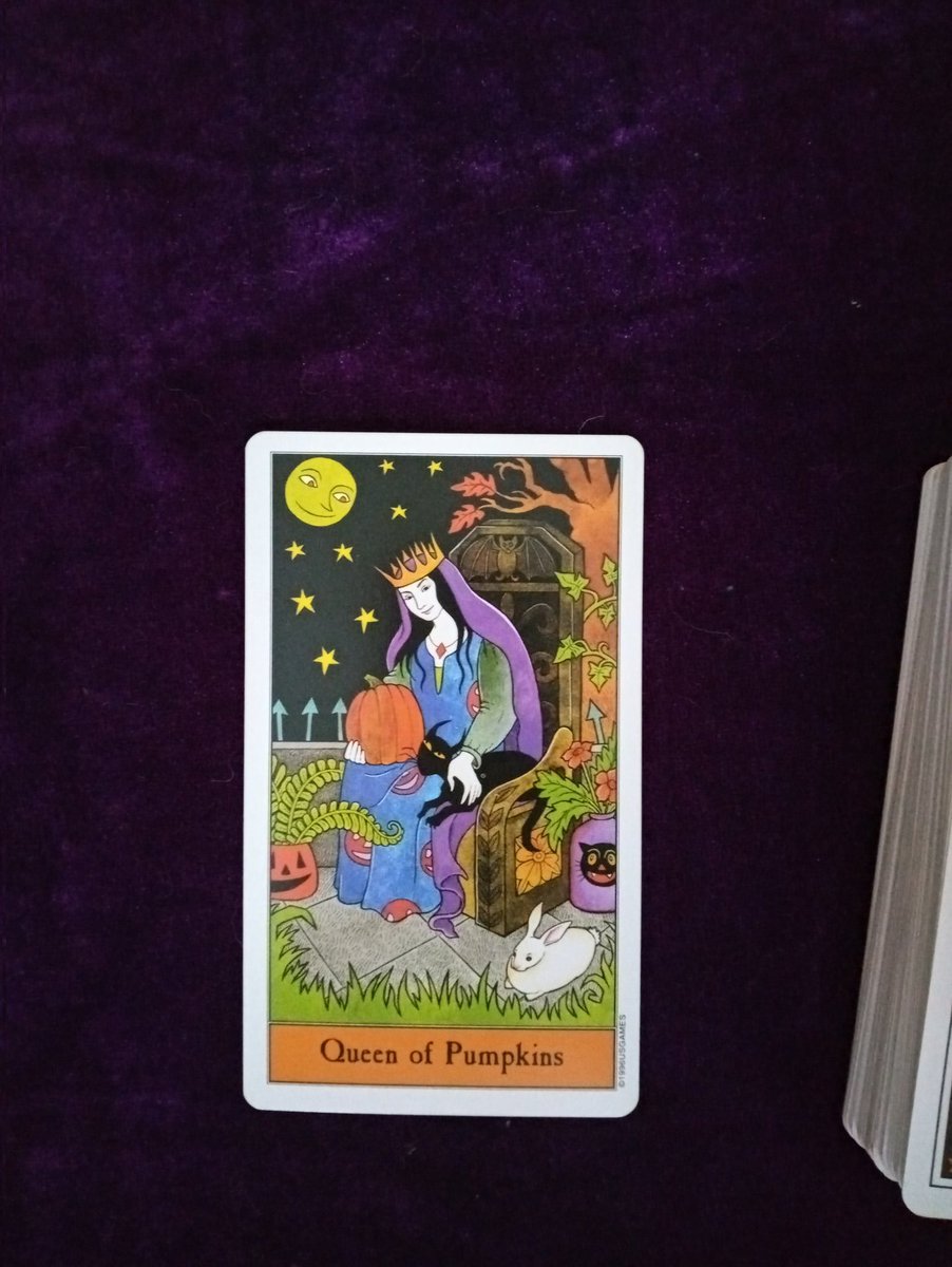 tigerlex333's tweet photo. Follow the black cat.
What is today's energy?
The energy is oozing with wisdom. Listen carefully and answer the same way. Don't be afraid to research for more knowledge.
#oozing #wisdom https://t.co/Bxs9KeshYZ