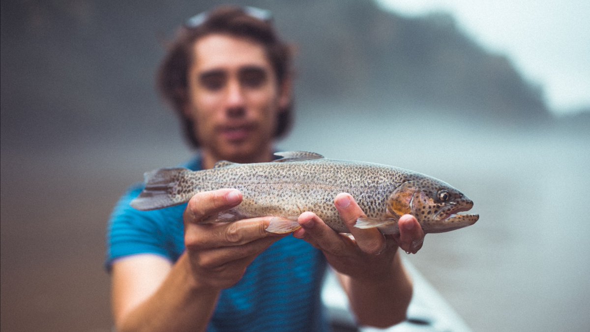 AES_LakeWork's tweet photo. Trout Stocking Time 🐟 - As the water temperature drops our phones begin to ring with trout orders. December is the prime time to stock ponds, lakes, and streams with Rainbow Trout. https://t.co/I1gPKrIXjt https://t.co/PFm0YmZCfZ
