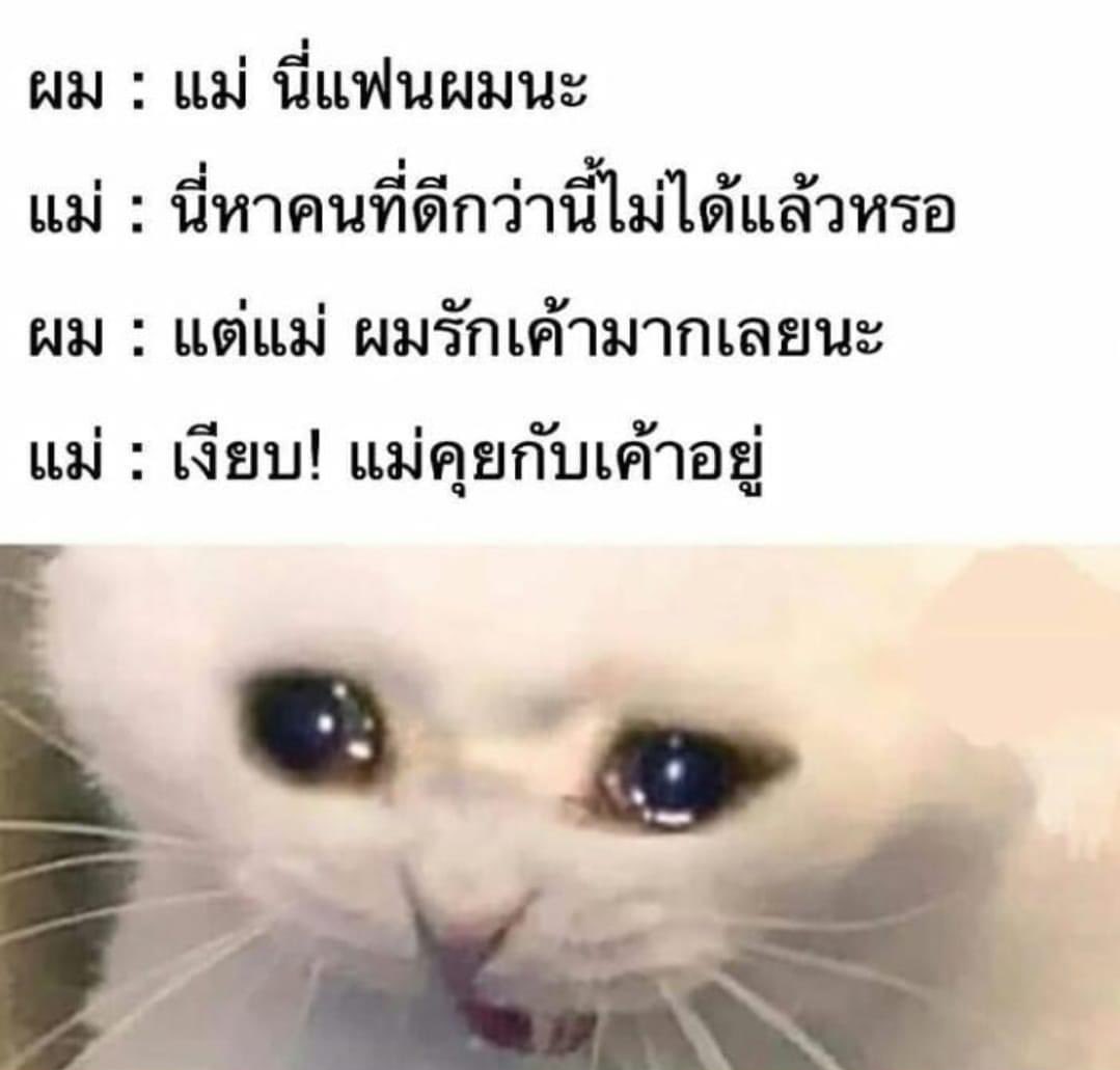 เลิ้ปตี๋โฟร์คิ้วท์ 🫠 tweet media