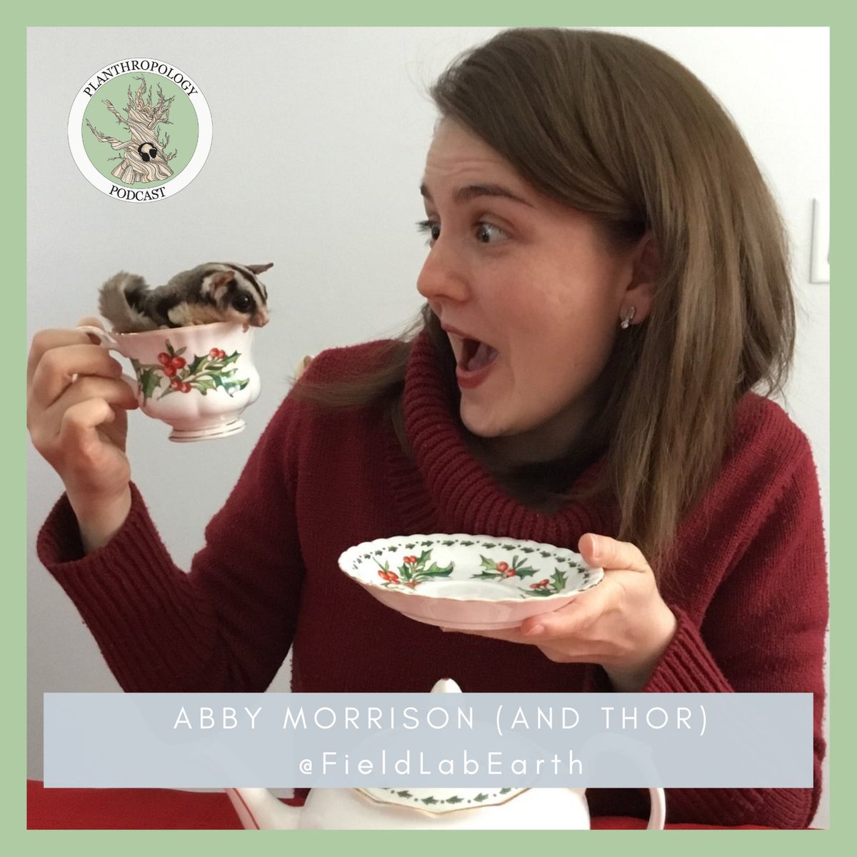 Planthropology Podcast๐ต (@planthropology_) on Twitter photo It's tea time again, Plant People! Abby Morrison of the <a href="/fieldlabearth/">Field, Lab, Earth Podcast</a> podcast is one of the very biggest fans of tea. We talk production, differences between kinds of tea, ceremonies from around the world, how to brew (steep?) the perfect cup and the best business idea ever! 1/4 It's tea time again, Plant People! Abby Morrison of the <a href="/fieldlabearth/">Field, Lab, Earth Podcast</a> podcast is one of the very biggest fans of tea. We talk production, differences between kinds of tea, ceremonies from around the world, how to brew (steep?) the perfect cup and the best business idea ever! 1/4