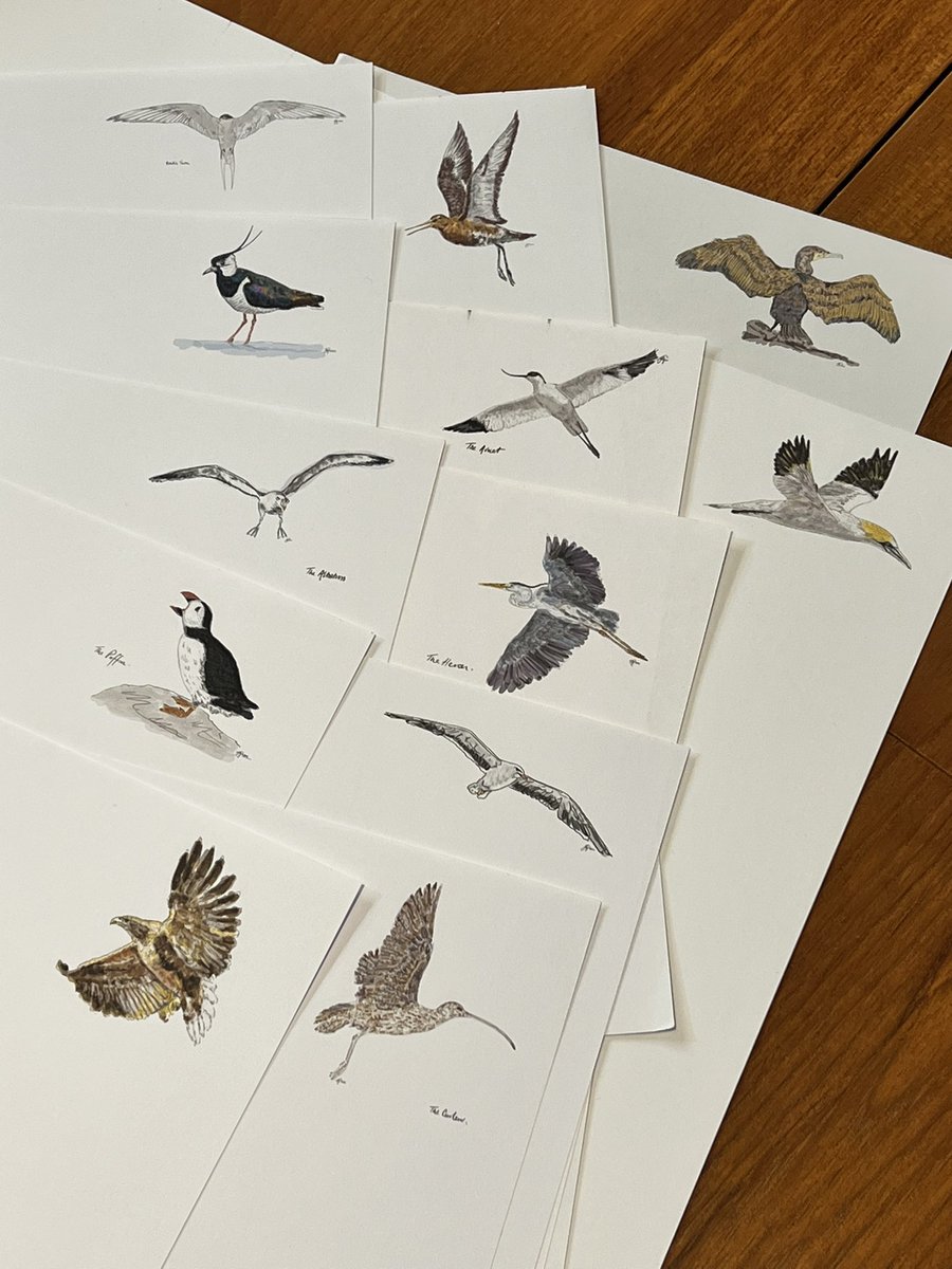 littleboatiow's tweet photo. #writingset NOW AVAILABLE
Now available the @littleboatiow seabird writing set - 12 seabirds, 24 sheets and envelopes - for you or to be gifted.
Grab yours here: https://t.co/yONJPGQ3py
Those who showed interest already ‘@‘ below 😊🙏
Stefan #thelittleboat #WritingCommunity https://t.co/5ilKAgdmpu