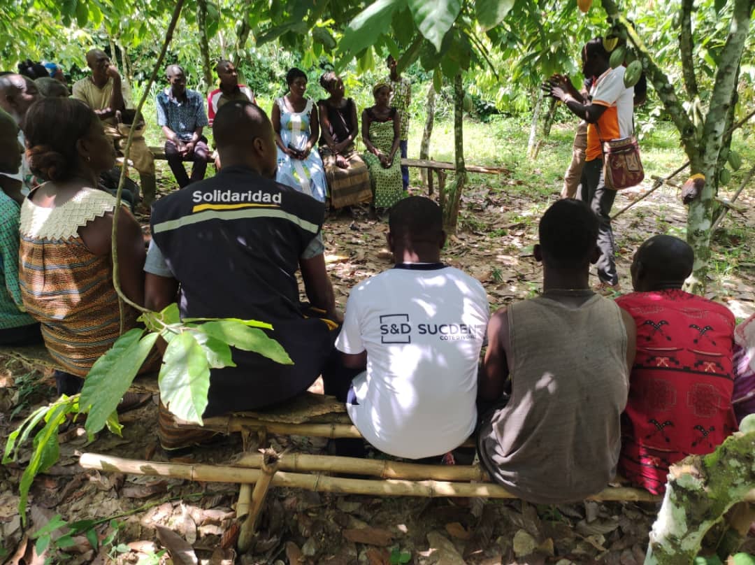 Solidaridad_wa's tweet photo. To mobilize and engage more #cocoa farmers to attend Farmer Field Schools under the Training on Good Agricultural Practices project, funded by @Sucden, @Solidaridad_wa, is organizing an open-door training session in cocoa-growing communities.
7,000 cocoa #farmers are to benefit. https://t.co/jlAAkF1brp