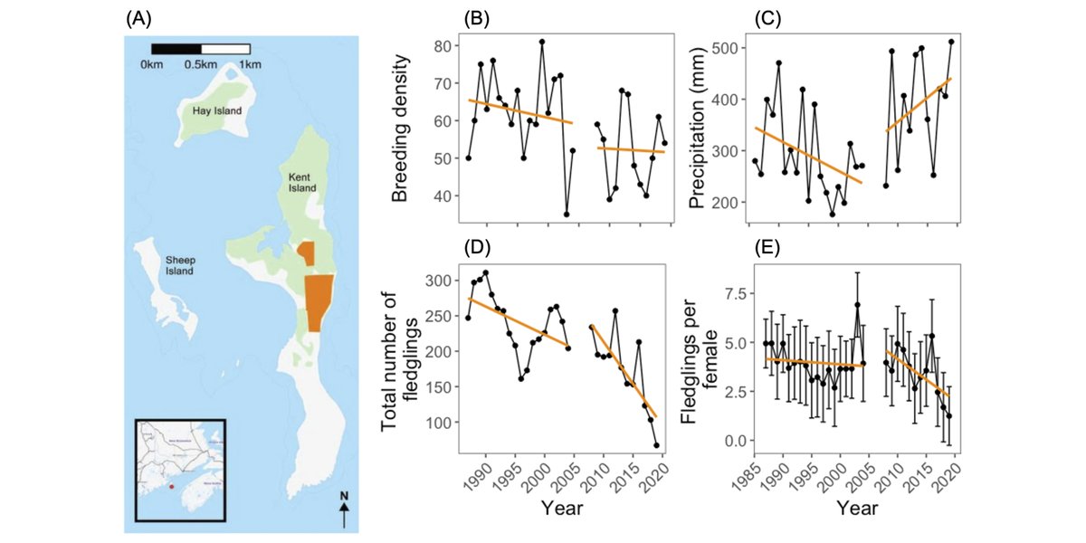 Now online in <a href="/ESAEcology/">Ecology</a>:

Natal experience and pre-breeding environmental conditions affect lay date plasticity in Savannah sparrows

doi.org/10.1002/ecy.35…

With #OpenData in <a href="/figshare/">Figshare</a> 

#PhenotypicPlasticity #BreedingPhenology #NSFFunded