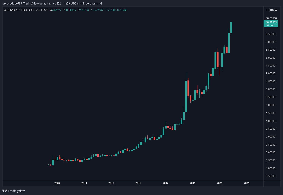 the dude tweet media