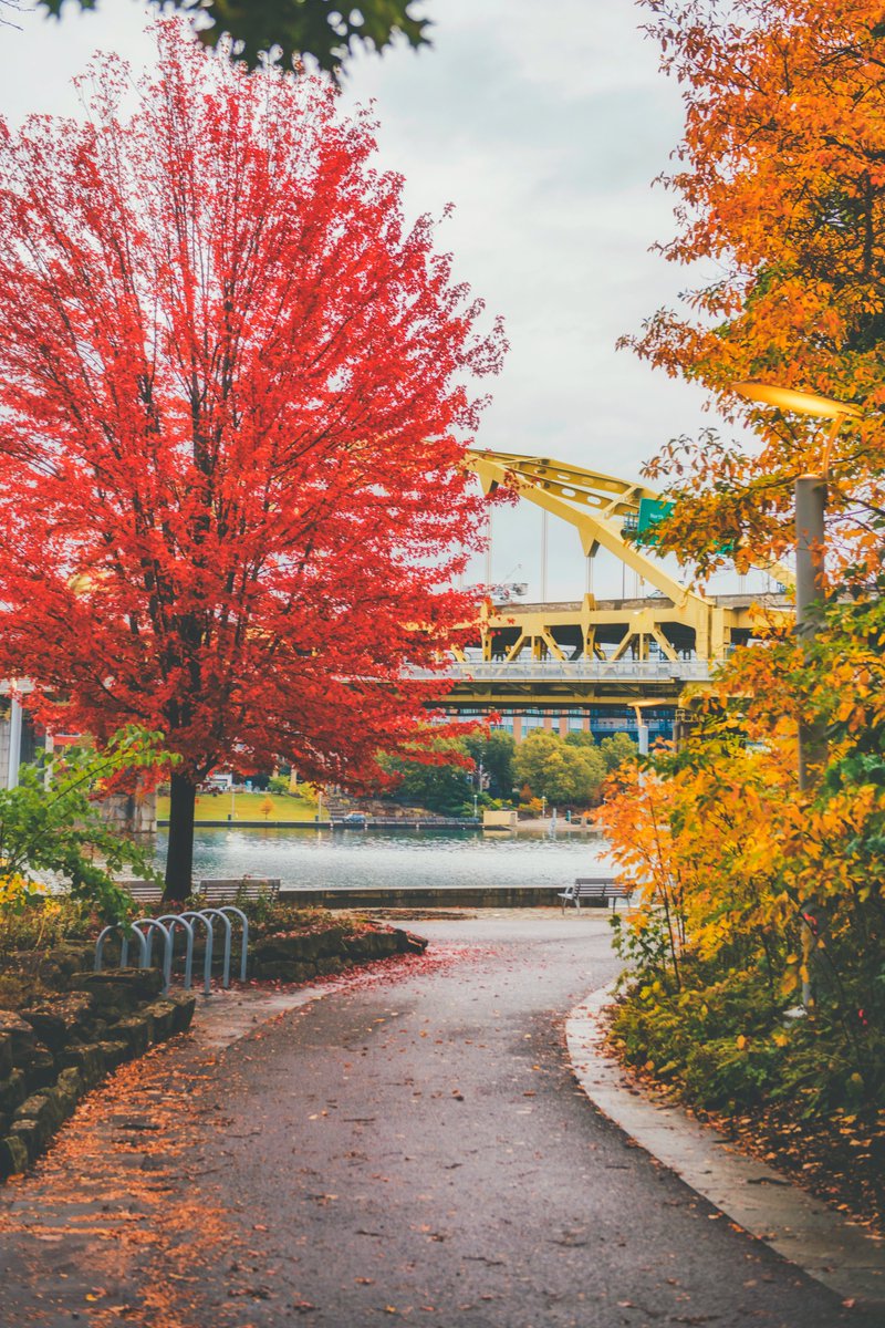 I've said it before and I'll say it again: overcast days are some of my favorite times to capture fall color in #Pittsburgh. I don't know what it is, but the warm tones against a dreary sky are so inviting, and there's no better place to see those colors than in Point State Park.