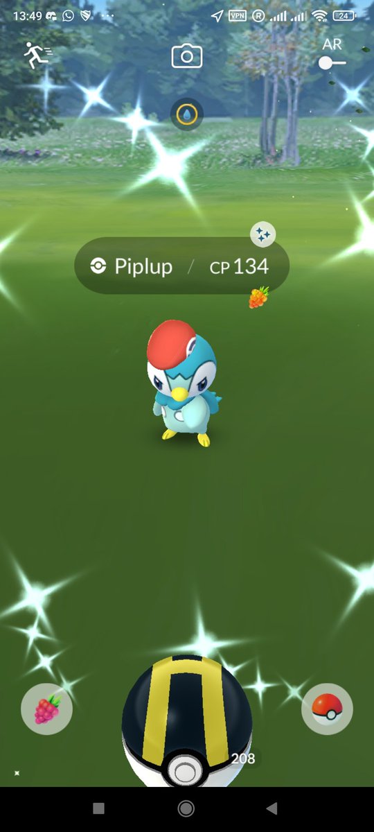 Pokemon Shiny Piplup go