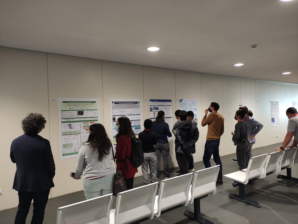 Very interesting studies presented in the poster session 🔝🔝🔝 You can ask poster authors for their research during the discussion sessions!
