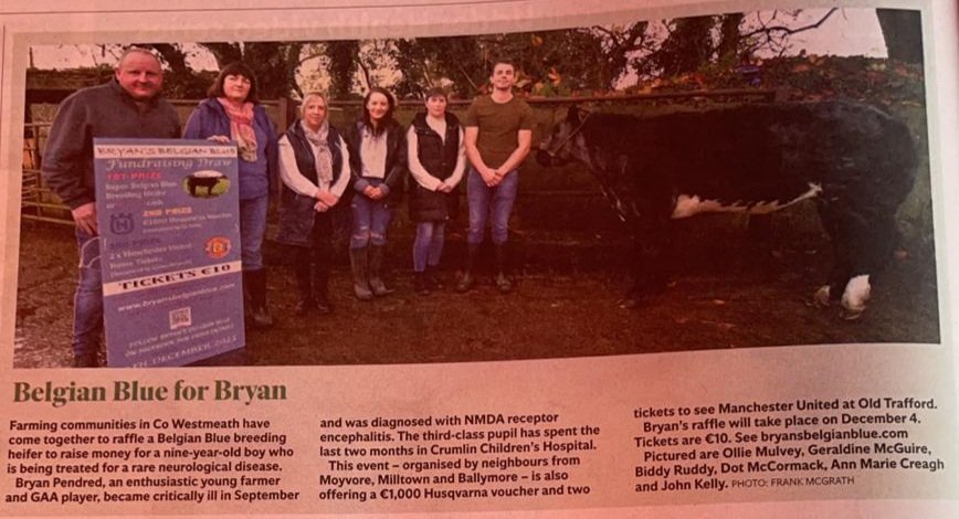 Bryanbelgianblu's tweet photo. Thanks @farming_indo for the great article #bryansbelgianblue #buyaticket #winaheiferforatenner #antinmdareceptorencephalitis https://t.co/7QAPK5S3ms