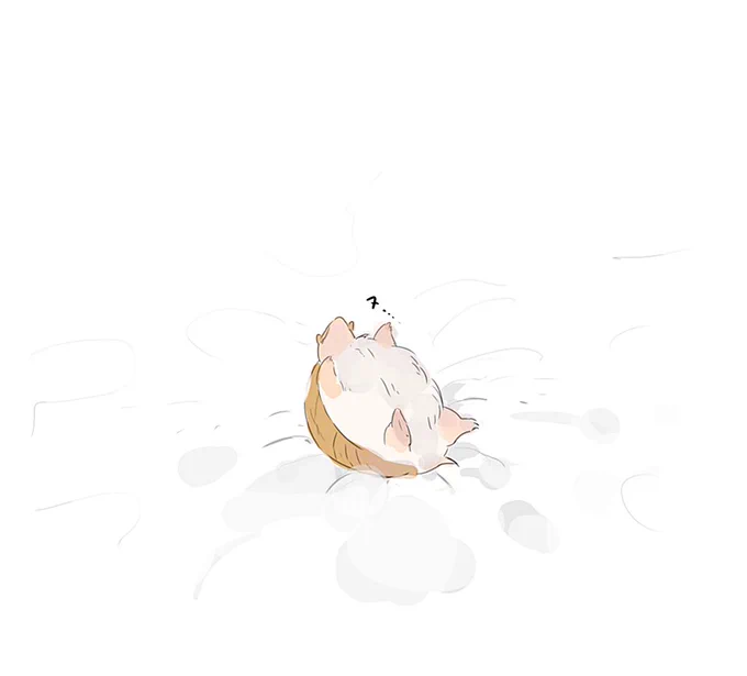ふかふかの大きいベットとジョン😌😌 