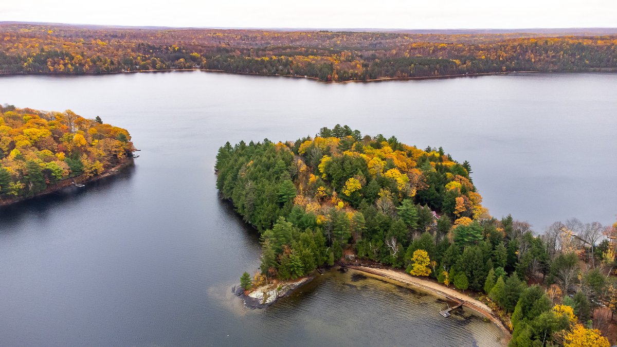 remaxhaliburton's tweet photo. #justlisted 6AC lot on Twelve Mile Lake $1,995,000 Call Linda today 705-457-3461 https://t.co/3yqETG2vTc