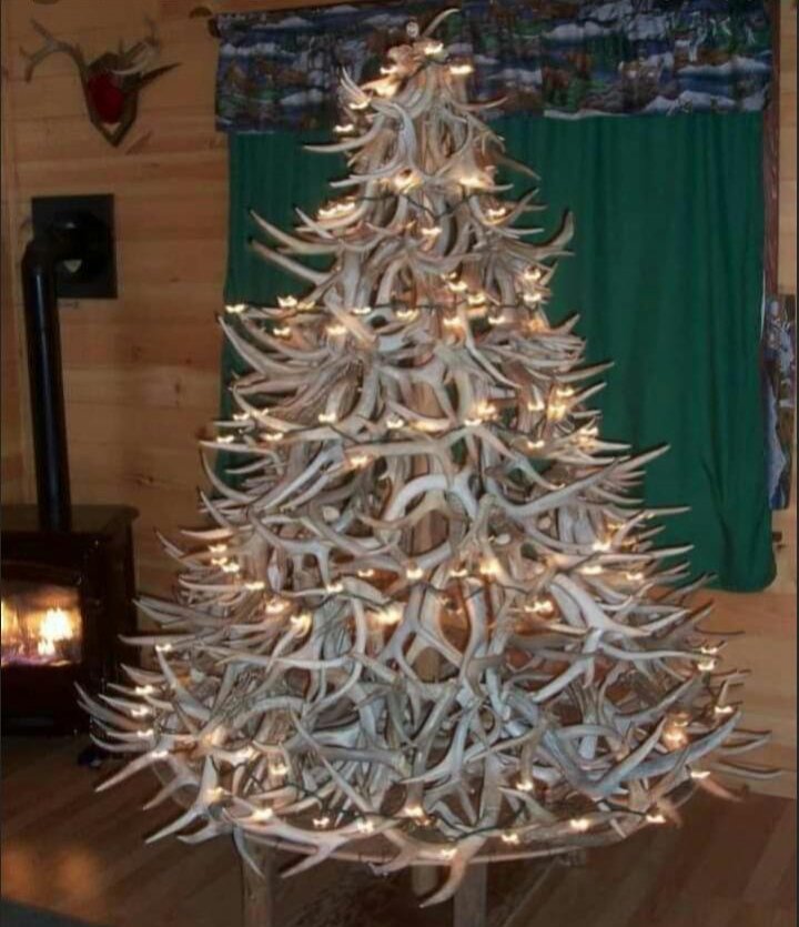 thearhm's tweet photo. Con toda la cachera que me mamé este año, me hice un arbolito 🦌🌲 https://t.co/wswElsx0K7