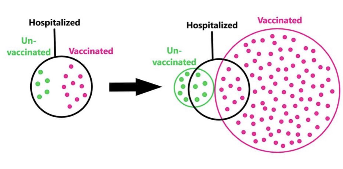 @twintvofficial <a href="/NehringClaus/">Claus Nehring | 3 shots of BioNTech</a> Und hier einmal für den visuellen Lerntyp...👇