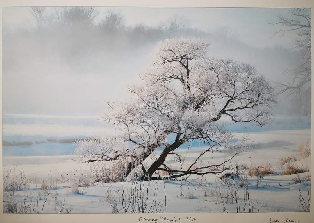 CMW_KW2010's tweet photo. Drumroll please as we start showcasing our auction items 😁 

We begin with a lovely landscape by Arness Photography! This piece of artwork fits perfectly into that empty space in your office or home lobby. Watch out for this one at the gala!

#auctionitems #supportlocal https://t.co/lAXwtKghsN