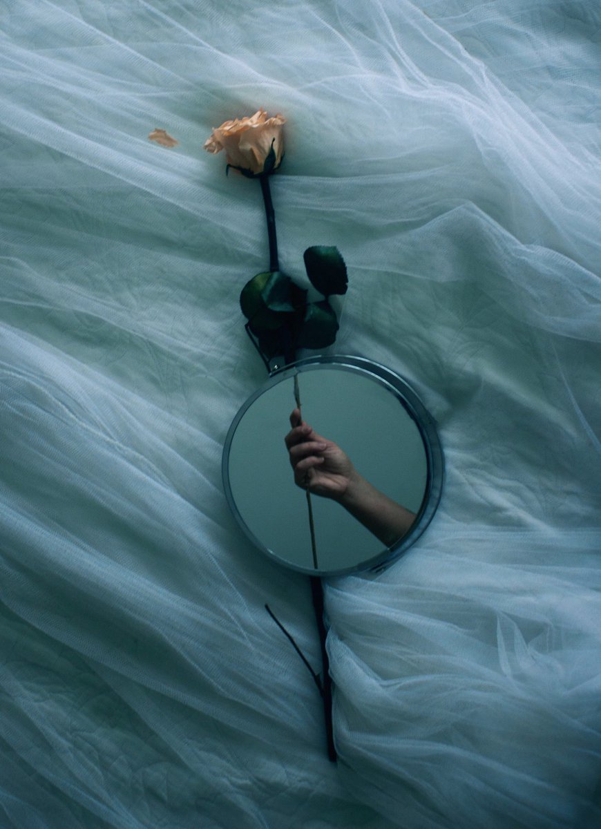 📸ELENA MARISCAL tweet media