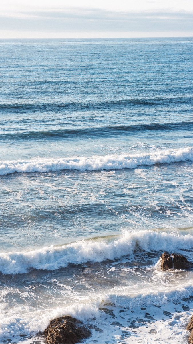 📸ELENA MARISCAL tweet media