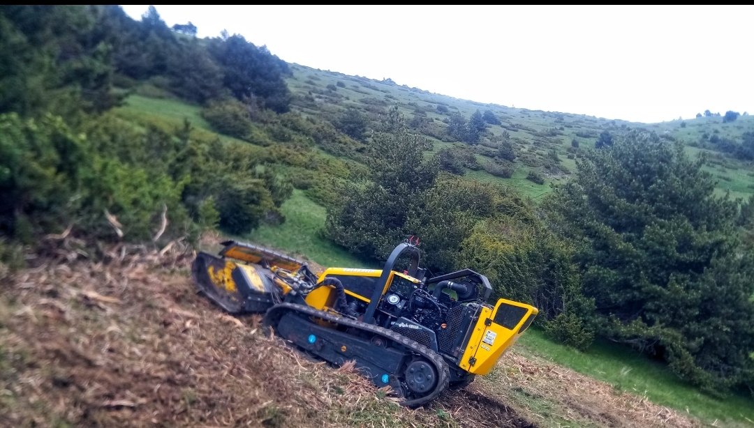 Marc Garriga 👣🐑🦇🏞️ tweet media