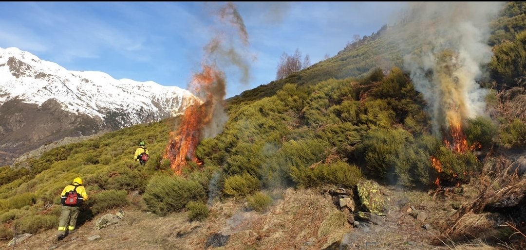 Marc Garriga 👣🐑🦇🏞️ tweet media