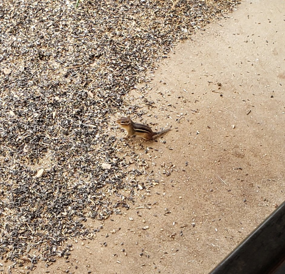 Curtiss Grymala (he/him/his) tweet media