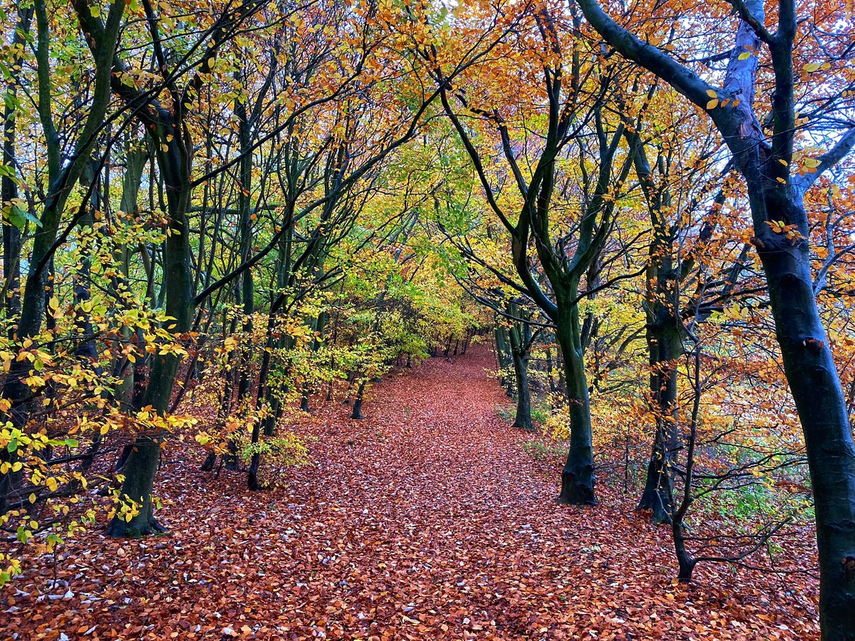 LifeIASC's tweet image. Yesterday I completed 82 miles hiking the magnificent Ridgeway as I marked the course for @ExtremeEnergyUK Druid’s Challenge. As I neared the finish, I felt quite emotional, almost euphoric. 

Read it in full here bit.ly/3oCXzVD