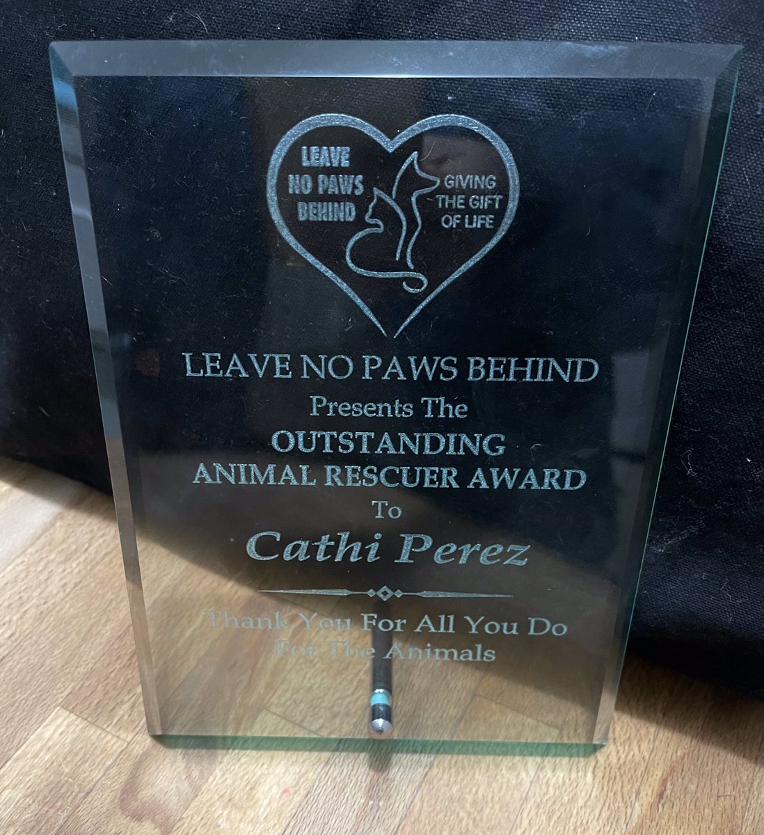 christashima's tweet photo. ICYMI: Watch #LeaveNoPawsBehind 10th Anniversary Celebration, where my sister @cathiperez received the Outstanding Animal Rescuer Award https://t.co/MUrBxXg7zh #dogrescue #animalrescue #reallifeheroes https://t.co/03YiuiMpOG