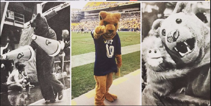 PittTweet's tweet photo. Happy Birthday, Roc! 🎉 🎈 

#DYK @ROCthePanther was adopted as our mascot at a meeting of students and alumni in the fall of 1909? #H2P 💙 💛 https://t.co/7bNvpkwEGO