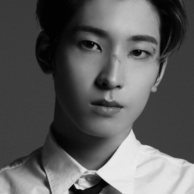 specwonie's tweet photo. 𝚂𝚝𝚊𝚗𝚍𝚋𝚢 𝚘𝚗𝚎 𝚝𝚠𝚘 𝚊𝚗𝚍 𝚊𝚌𝚝𝚒𝚘𝚗.  #CSD #CaratSelcaDay @pledis_17 https://t.co/OMTsvt3AOc