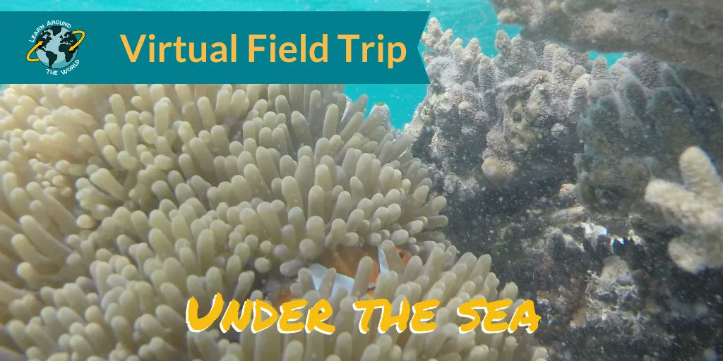 learnATW's tweet photo. Dec. 10 | On this #virtualfieldtrip we are headed back to Komodo National Park. But this time we are exploring Under the Sea. Join us to learn about sea life in the park and to visit a fishing village. Register at https://t.co/yaQPQl3Hgp
#EdChatME
#OHedchat
#NJed
#edtechchat
#K12 https://t.co/jIb6GVMyrO