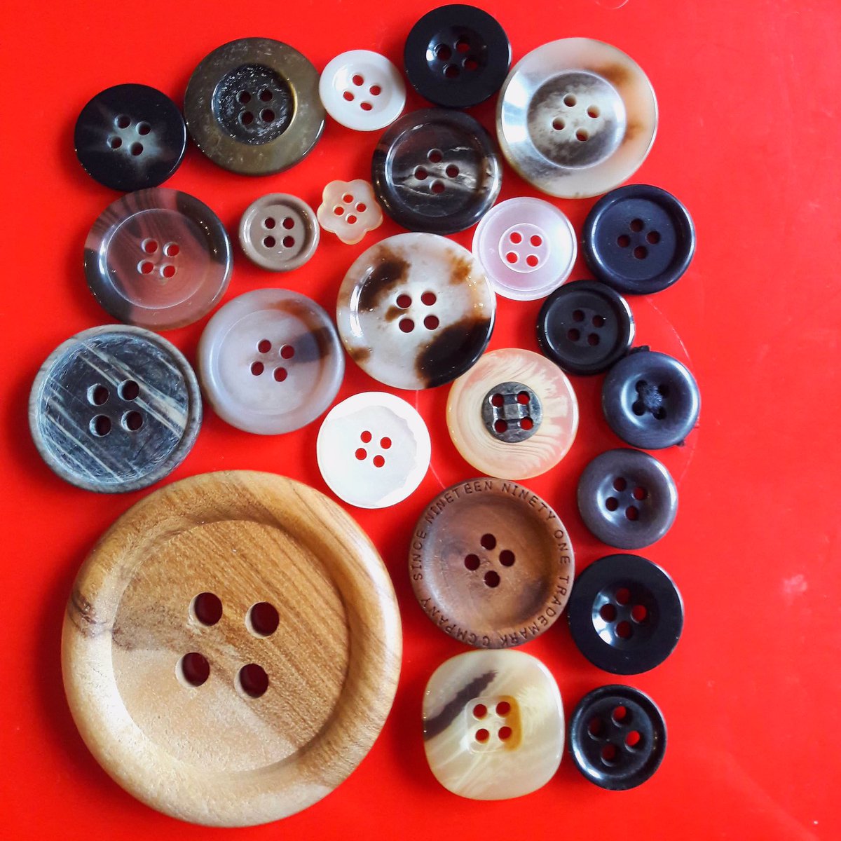 Teresinha Roberts tweet media