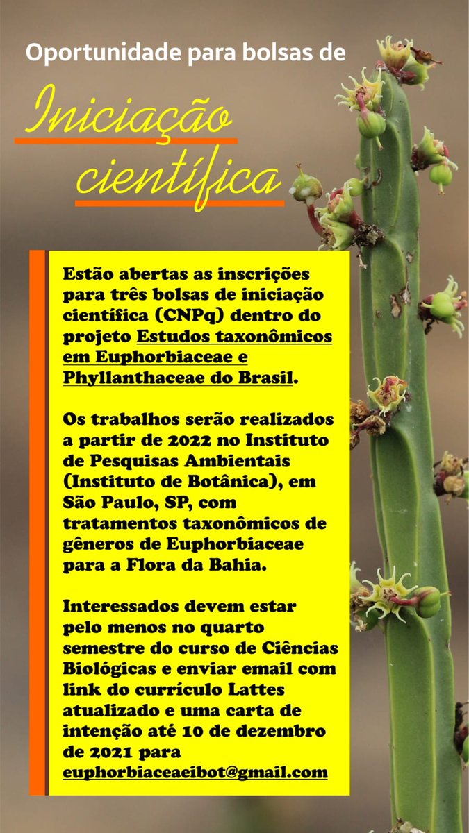mone_sys's tweet photo. Oportunidade de bolsa de #iniciaçãocientífica para alunos de #graduação interessados em #Botânica   especialmente na área de #Taxonomia e #Sistemática https://t.co/t1y1rjz4dY