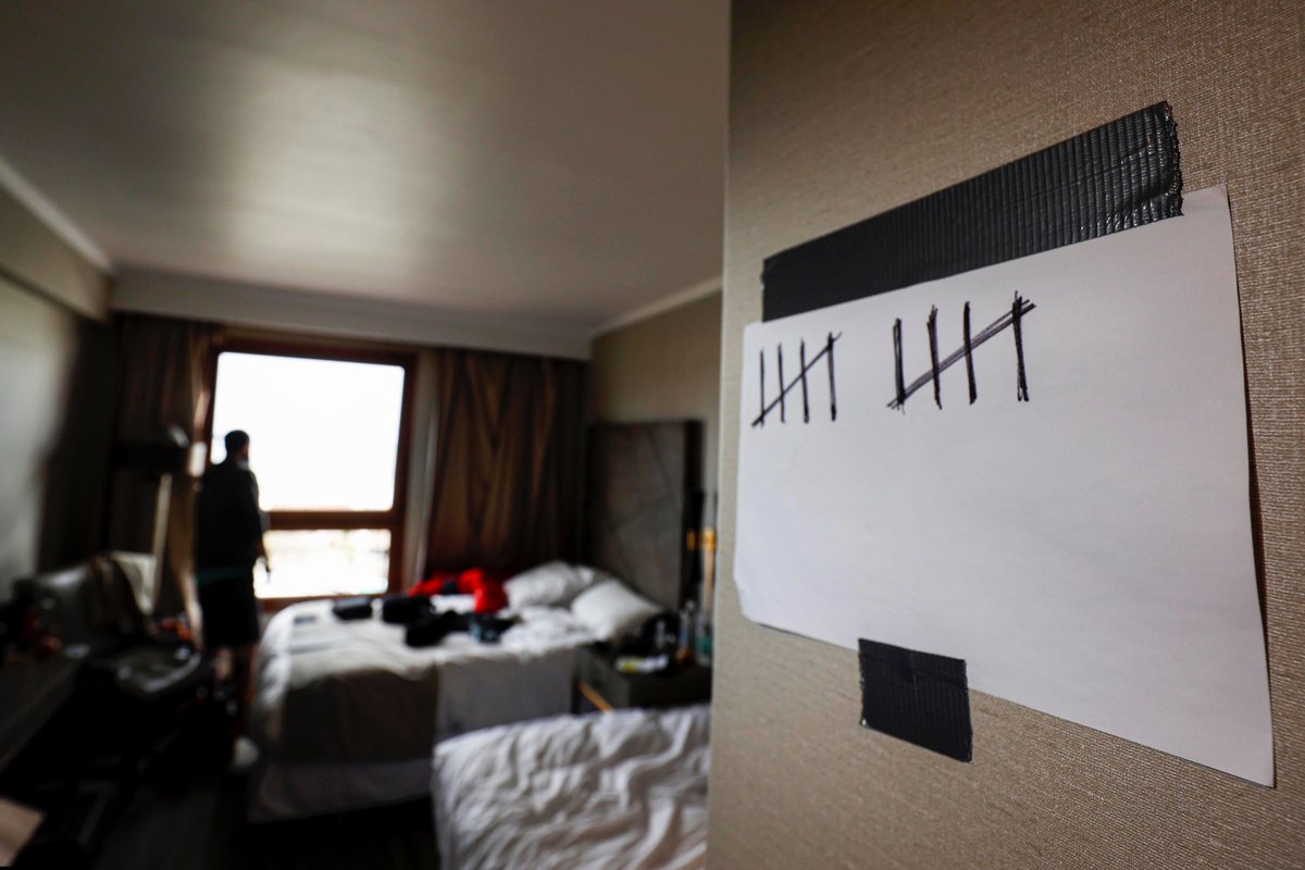 Felipe Trueba tweet media