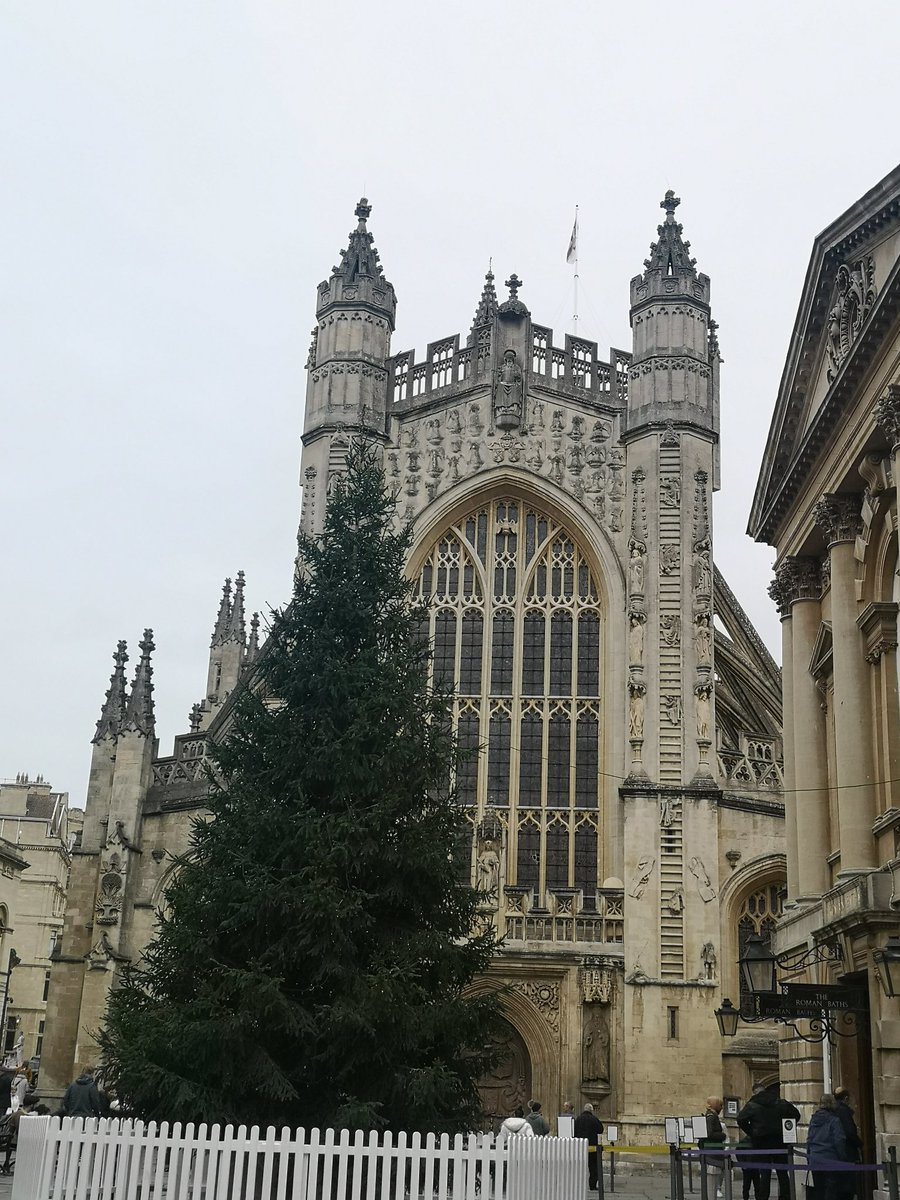 runner_emz's tweet photo. It's beginning to look a lot like Christmas in Bath. The tree is up at the Abbey.
@bathabbey @BathLifeMag  @IGersBath #cityofbath #bathabbey #ChristmasTree #Christmas https://t.co/MDaHQ65T0P