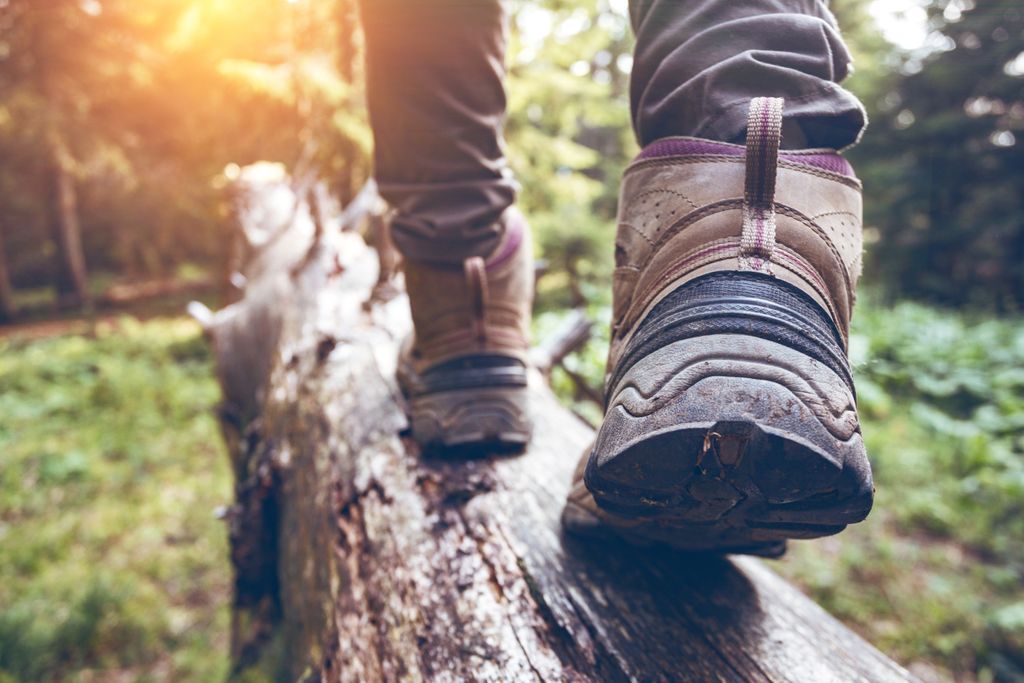Happy #NationalHikingDay! Make sure you get outside today and get active! 💪