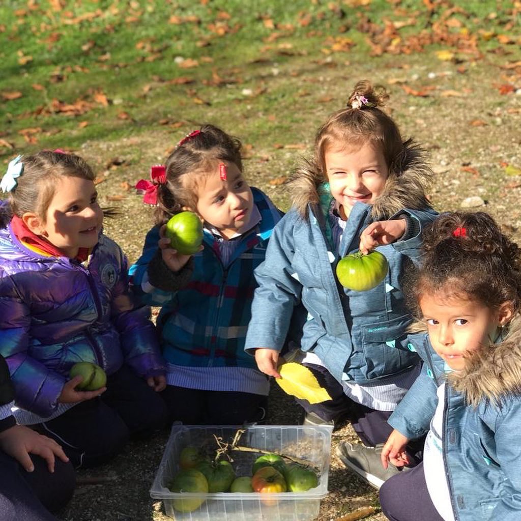 Colegio Virgen de la Almudena tweet media
