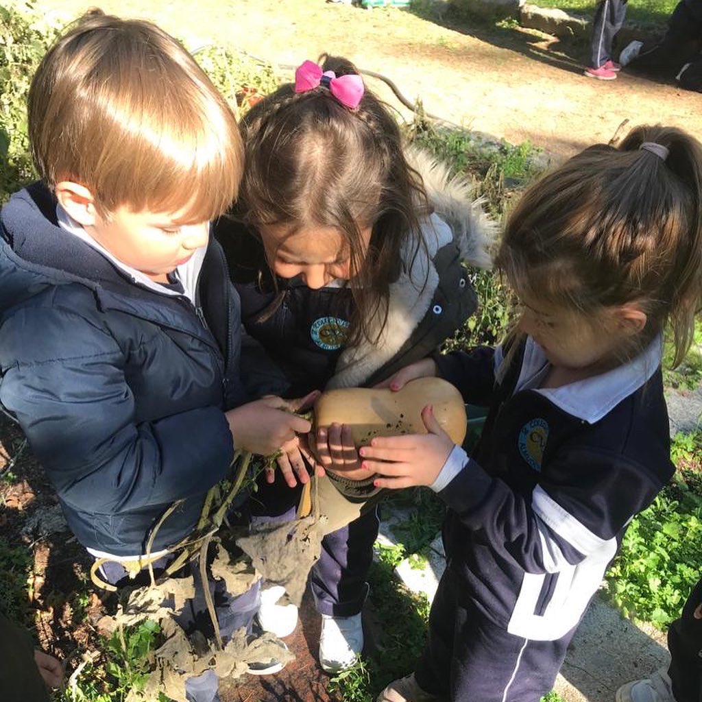 Colegio Virgen de la Almudena tweet media