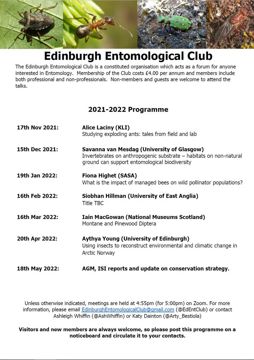 EdEntClub's tweet photo. Ento Club is back for 2021-22 with @AliceLaciny on “Studying exploding ants: tales from field and lab”, 5pm(GMT) on Wed 17th Nov (TOMORROW) on zoom! Email EdinburghEntomologicalClub@gmail.com for details on how to join. @BuglifeScotland @AshWhiffin @GeosciencesEd @SBSatEd https://t.co/OFJTSYyG5i