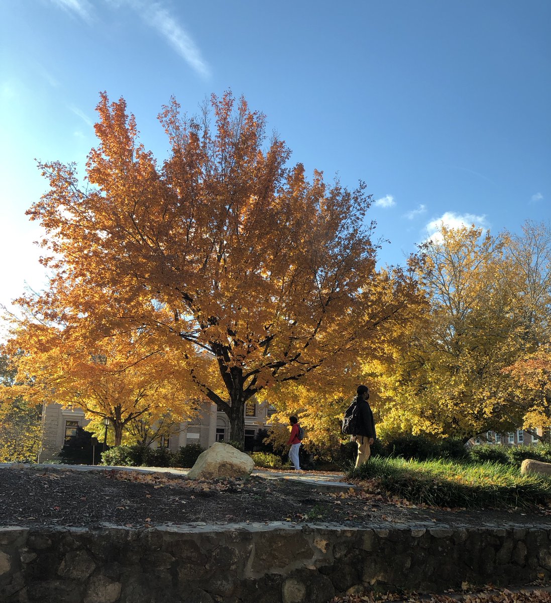 UNC_SA's tweet photo. For our Tar Heel students who find themselves sticking around campus this Thanksgiving, #UNC is offering a number of helpful resources. From turkey to trail hiking, we've got ideas to keep students fed and happy.
https://t.co/vYIGCtdIpi
#uncstudentlife
@UNC_ODOS
@UNC_OffCampus https://t.co/DiuPDdSJHs
