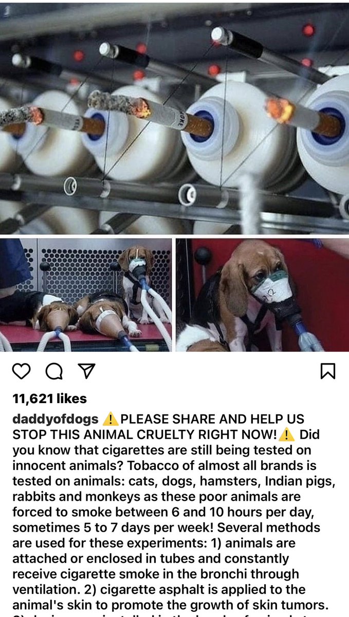 jannarden's tweet photo. For those of you asking about tobacco companies testing on beagles… here are the assholes doing their RIDICULOUS- horrifying testing with cigarettes. I hope these people will someday soon perish from the planet. THIS MUST STOP. Write your MP to ban animal testing https://t.co/9sVkakEPR5